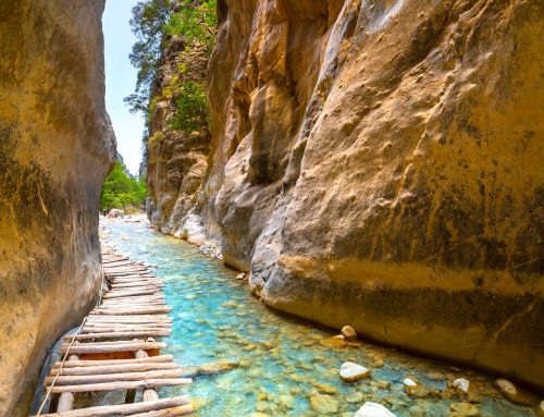 Ανακαλύπτοντας την κρητική φύση στα Χανιά